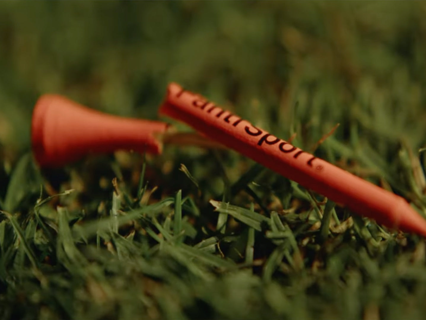 YOU CAN'T EXPLAIN IT