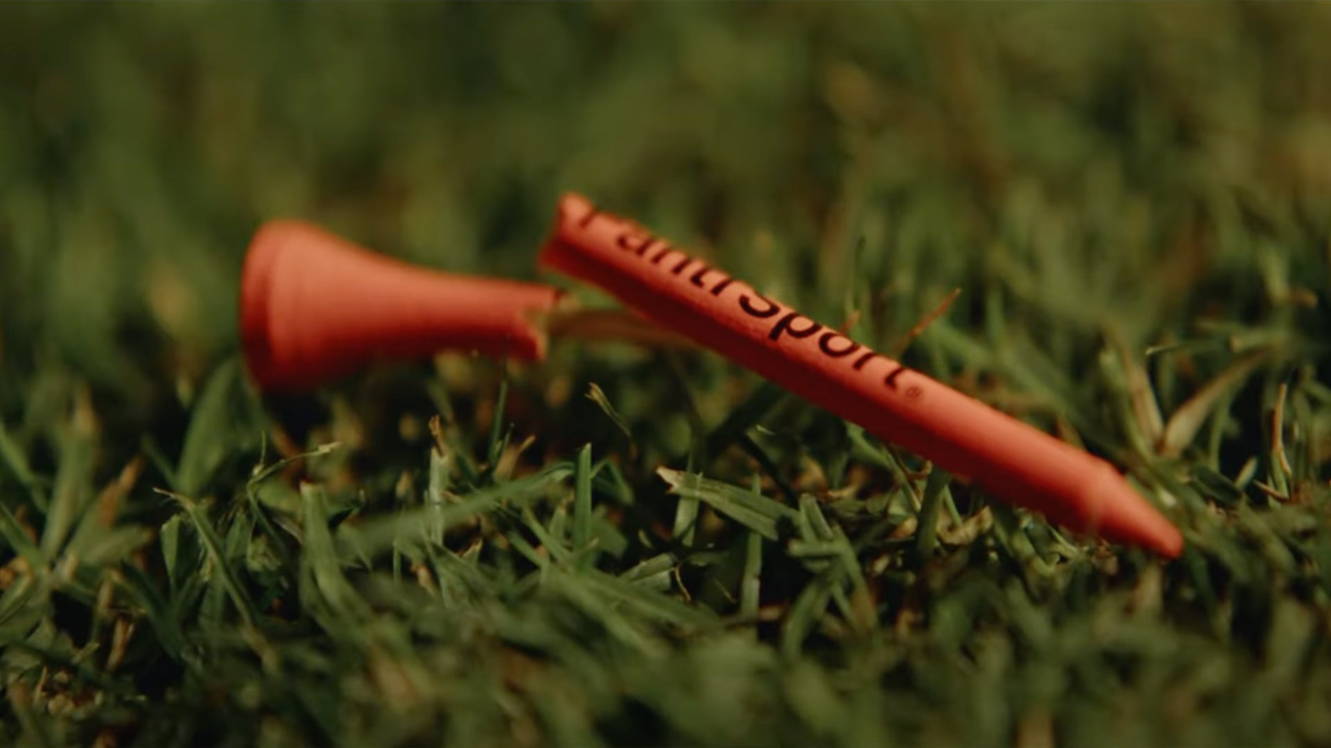 YOU CAN'T EXPLAIN IT